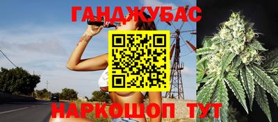 гидра Будённовск