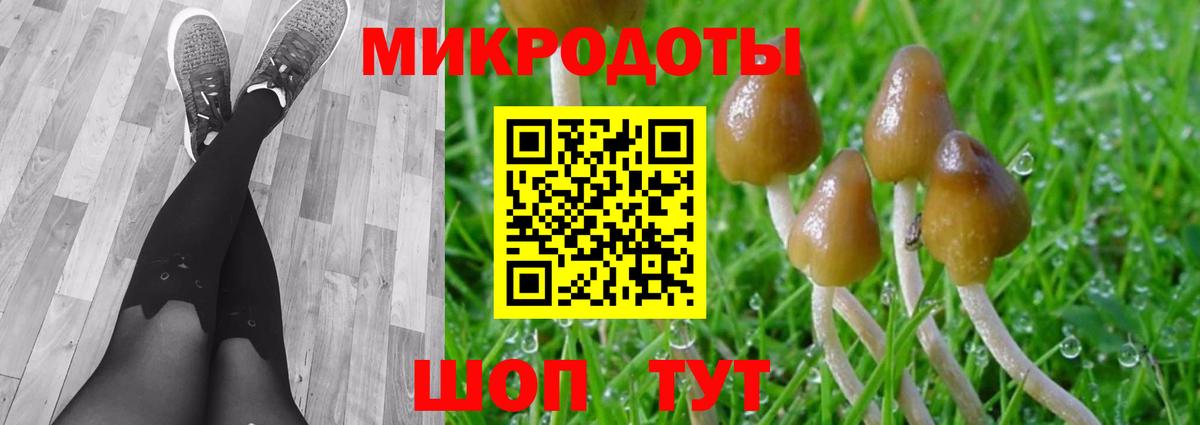 Междуреченск  Галлюциногенные грибы Magic Shrooms  Вход с VPN 